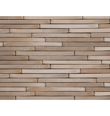 Кирпич клинкерный ригельный S.Anselmo Corso CTGLB 500 x 40 x 100 мм.