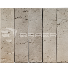 Кирпич облицовачный BRAER MAX 72.03 / 1 НФ 250 х 120 х 65 мм.
