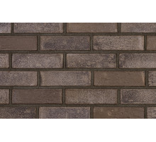 Кирпич облицовочный клинкерный Plinfa 215 х 102 х 65 мм. Iron 2808