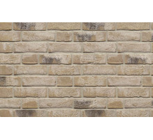 Кирпич облицовочный Westerwaelder Klinker 210 х 100 х 65 мм. WK959 Monaco