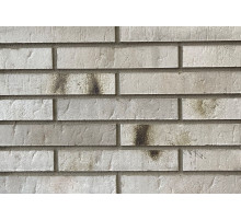 Плитка клинкерная фасадная Interbau 290 x 52 x 12 мм. Retrobrick INT 304 LDF