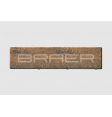 Тротуарная плитка BRAER Ригель 2.0 Color Mix Техас 60 мм.